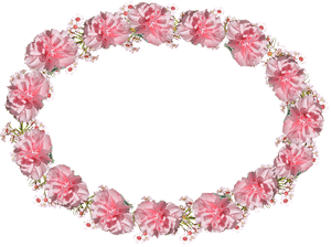 Oval, Frame, Pink, Carnation - Flower Border Design Oblong, HD Png Download PNG image with transparent background