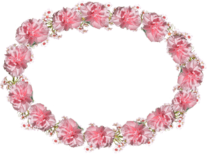 Oval Frame Pink Free Picture, HD Png Download PNG image with transparent background
