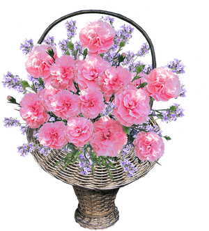 Basket, Carnations, Pink, Arrangement - Claveles Hermosos, HD Png Download PNG image with transparent background