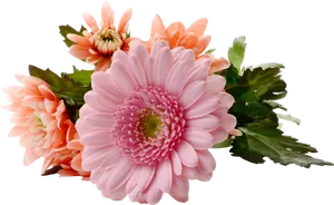 Pink Chrysanthemum Bouquet Transparent Background PNG Image