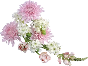 Pink_ Chrysanthemums_and_ White_ Flowers_ Arrangement PNG Image