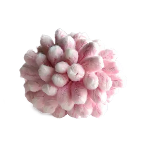 Pink Cotton Puff Png Whf15 PNG Image