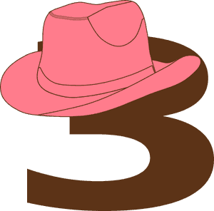 Pink Cowgirl Hat Illustration PNG image with transparent background