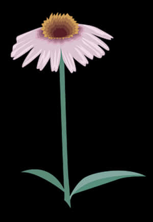 Pink Daisy Illustration PNG image with transparent background