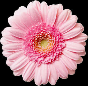 Flower With Transparent Background Clipart - Transparent Background Pink Flower Png, Png Download PNG image with transparent background