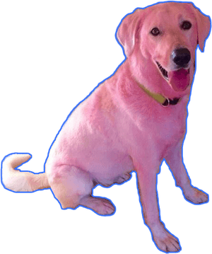 #dog #aesthetic #pink #blue #pinkdog #grunge #tumblr - Clifford The Big Red Dog Irl, HD Png Download PNG image with transparent background