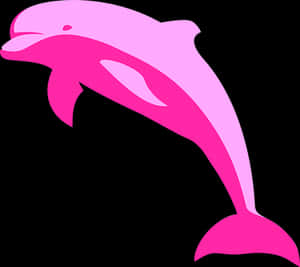 Pink Dolphin Vector Art PNG image with transparent background