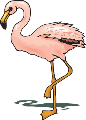 Pink Flamingo Illustration PNG Image