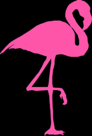 Pink Flamingo Silhouette PNG image with transparent background