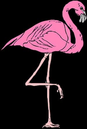 Pink Flamingo Standing One Leg PNG image with transparent background