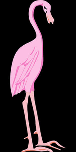 Pink_ Flamingo_ Vector_ Illustration PNG image with transparent background