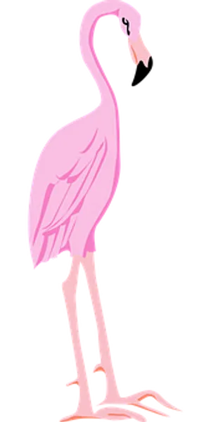 Pink_ Flamingo_ Vector_ Illustration PNG Image