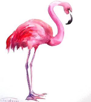 Pink Flamingo Watercolor Artwork PNG Image