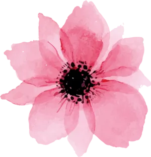 Pink Flower Illustration PNG Image