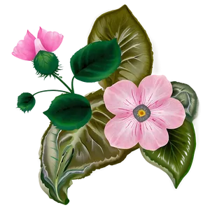 Pink Flowers Png 85 PNG Image