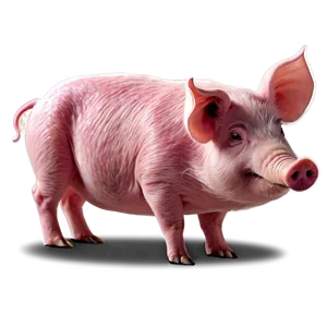 Pink Hog Png Ehh PNG Image