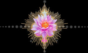 Plant,illustration,water Lily,art - Passion Flower, HD Png Download PNG image with transparent background