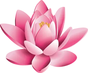 Pink Lotus Flower Illustration PNG Image