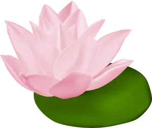 Pink Lotus Flower Illustration PNG Image