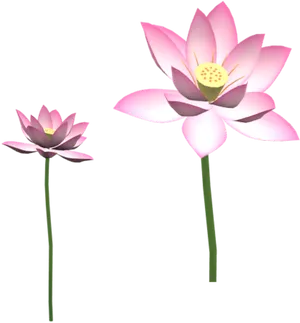 Pink Lotus Flowers Illustration PNG Image