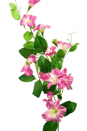 Transparent Petunia Png - Periwinkle, Png Download PNG image with transparent background