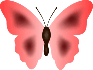 Butterfly Moth Cartoon Pink - Lycaenid, HD Png Download PNG