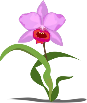 Pink Orchid Illustration PNG Image