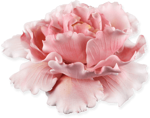 Peony Plunger Cutter, HD Png Download PNG with transparent background