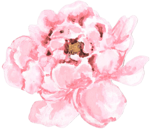Png Pale Pink Peonies Transparent , Png Download - Watercolor Peonies Png, Png Download PNG with transparent background