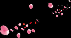 Pink Flower Rose Petals Petal Beach - Pink Flower Petals Png, Transparent Png PNG image with transparent background