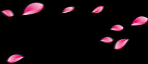 Falling Rose Petals Png - Falling Flower Leaves Png, Transparent Png PNG with transparent background