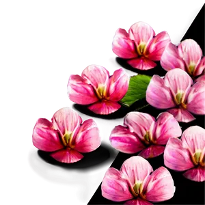 Pink Petals Png 06292024 PNG Image