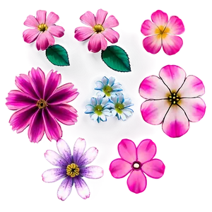 Pink Petals Png Etm23 PNG Image