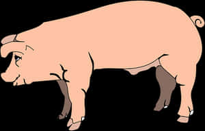 Pink Pig Cartoon Illustration PNG image with transparent background