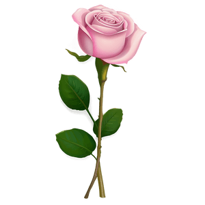 Pink Rose Bouquet PNG 05242024 PNG image with transparent background