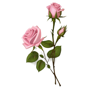 Pink Rose Bouquet PNG yaa76 PNG image with transparent background