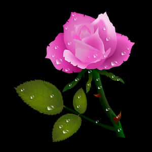 Pink Rose Dewdrops Vector PNG image with transparent background