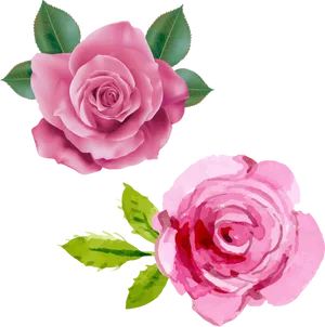 Pink Rose Duo Illustration PNG Image