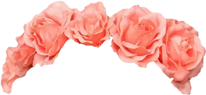 Pink Rose Floral Crown PNG Image