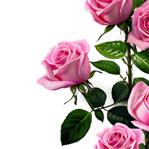Pink Rose Garden PNG gtj7 PNG image with transparent background