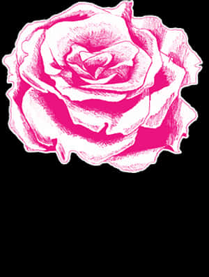 Pink Rose Illustration PNG image with transparent background