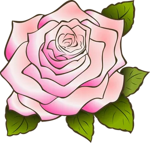 Pink Rose Illustration PNG Image