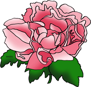 United States Clip Art By Phillip Martin, Indiana State - Clip Art Carnations Flowers, HD Png Download PNG image with transparent background