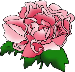 Pink Rose Outline Illustration PNG Image