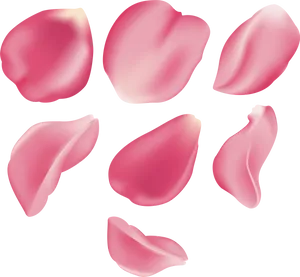 Pink Rose Petals Floating PNG Image