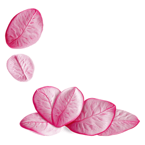 Pink Rose Petals PNG 34 PNG image with transparent background