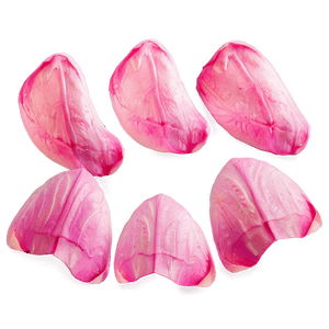 Pink Rose Petals PNG hqg PNG image with transparent background