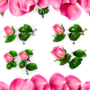 Pink Rose Petals PNG mss52 PNG image with transparent background