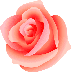 Transparent Background Pink Rose Png, Png Download PNG image with transparent background