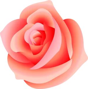 Pink Rose Vector Illustration PNG Image